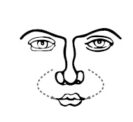 Иллюстрация к книге — Хиромантия и нумерология. Секретные знания. Практическое руководство [i_515.jpg]