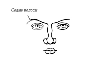 Иллюстрация к книге — Хиромантия и нумерология. Секретные знания. Практическое руководство [i_520.jpg]