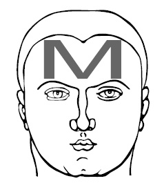 Иллюстрация к книге — Хиромантия и нумерология. Секретные знания. Практическое руководство [i_537.jpg]