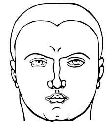 Иллюстрация к книге — Хиромантия и нумерология. Секретные знания. Практическое руководство [i_545.jpg]