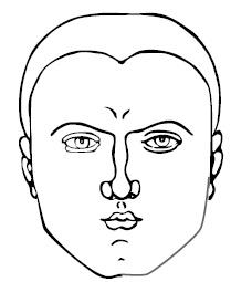 Иллюстрация к книге — Хиромантия и нумерология. Секретные знания. Практическое руководство [i_550.jpg]