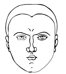 Иллюстрация к книге — Хиромантия и нумерология. Секретные знания. Практическое руководство [i_551.jpg]