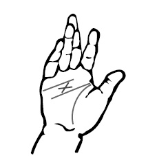 Иллюстрация к книге — Хиромантия и нумерология. Секретные знания. Практическое руководство [i_558.jpg]