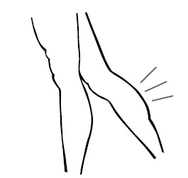 Иллюстрация к книге — Хиромантия и нумерология. Секретные знания. Практическое руководство [i_561.jpg]