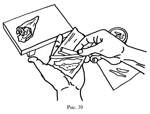 Иллюстрация к книге — Суши, роллы и японские блюда [i_041.jpg]