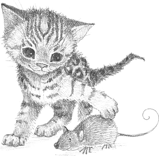 Иллюстрация к книге — Котенок Милли, или С возвращением, леопард! [i_001.jpg]