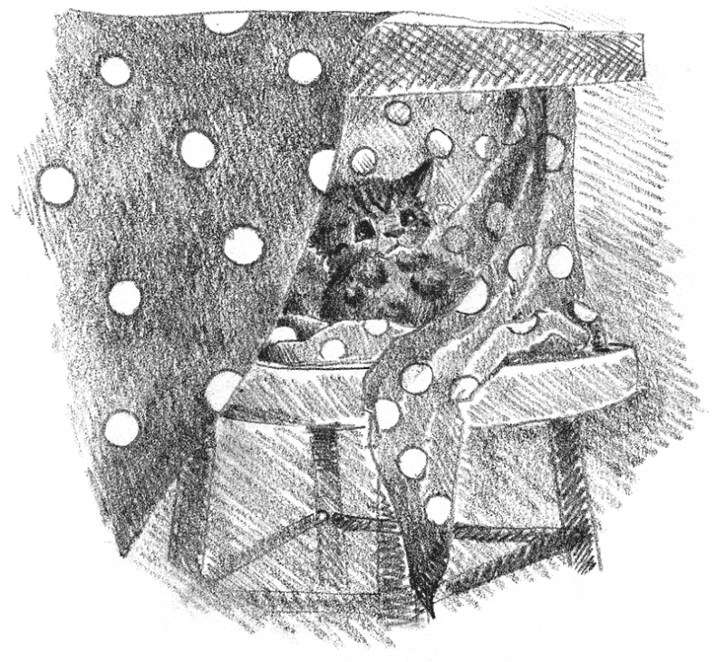 Иллюстрация к книге — Котенок Милли, или С возвращением, леопард! [i_010.jpg]