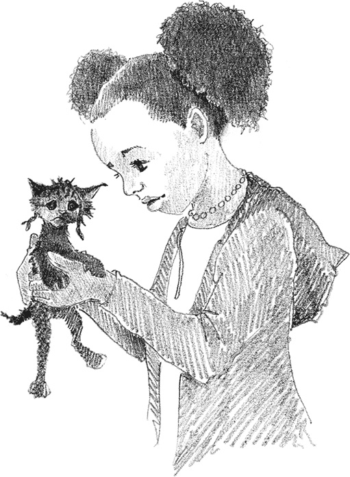 Иллюстрация к книге — Котенок Милли, или С возвращением, леопард! [i_013.jpg]