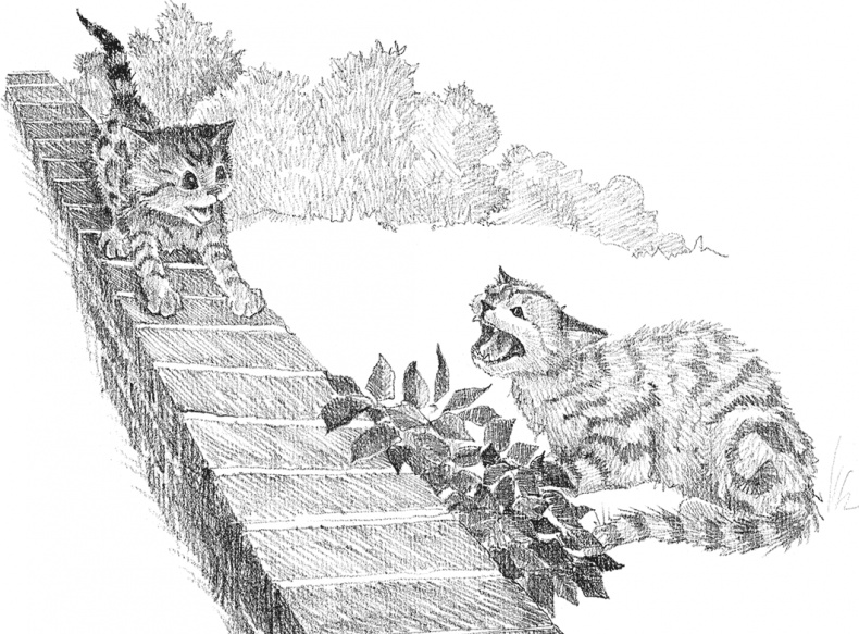 Иллюстрация к книге — Котенок Милли, или С возвращением, леопард! [i_030.jpg]