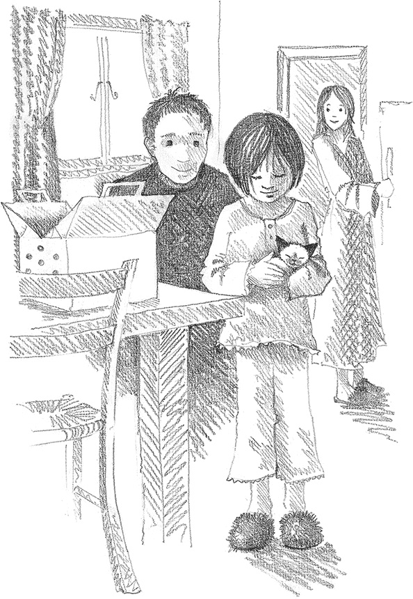 Иллюстрация к книге — Котенок Фиалка, или Коробка с сюрпризом [i_005.jpg]