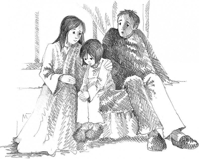 Иллюстрация к книге — Котенок Фиалка, или Коробка с сюрпризом [i_007.jpg]