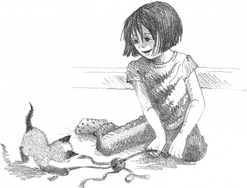 Иллюстрация к книге — Котенок Фиалка, или Коробка с сюрпризом [i_008.jpg]