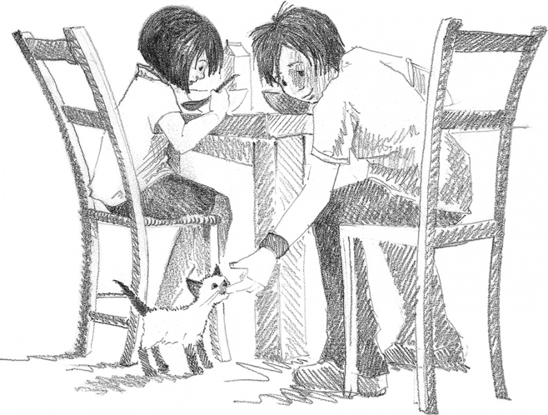 Иллюстрация к книге — Котенок Фиалка, или Коробка с сюрпризом [i_009.jpg]