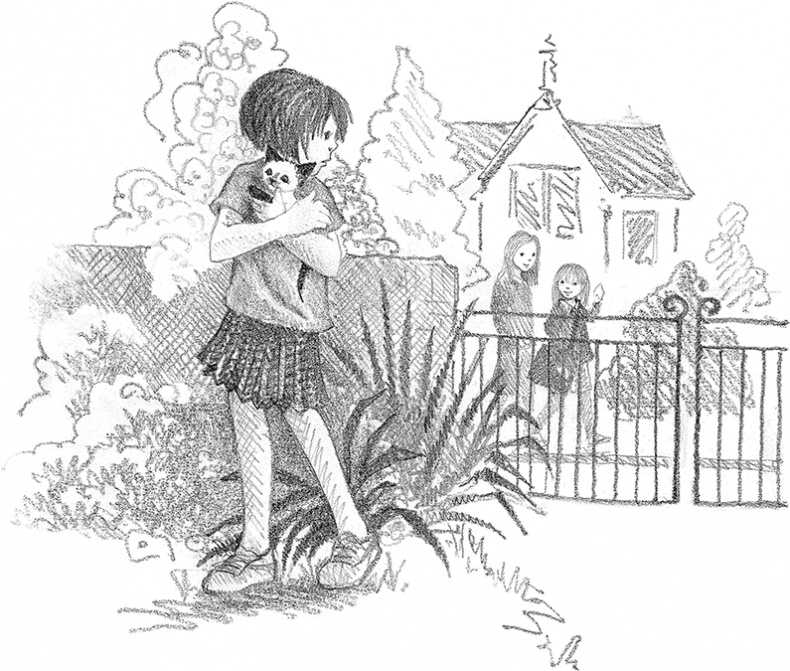 Иллюстрация к книге — Котенок Фиалка, или Коробка с сюрпризом [i_011.jpg]