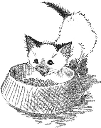 Иллюстрация к книге — Котенок Фиалка, или Коробка с сюрпризом [i_014.jpg]