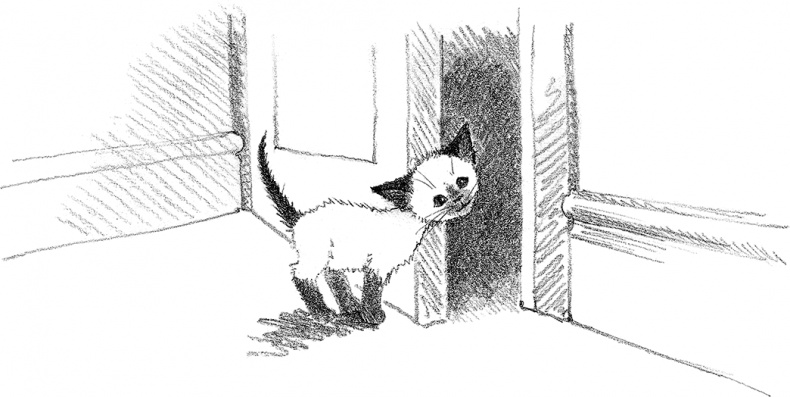 Иллюстрация к книге — Котенок Фиалка, или Коробка с сюрпризом [i_020.jpg]