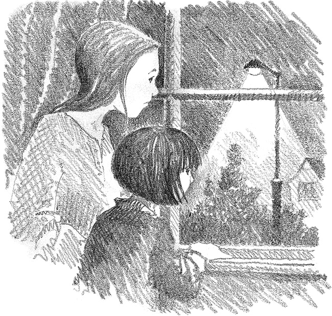 Иллюстрация к книге — Котенок Фиалка, или Коробка с сюрпризом [i_023.jpg]