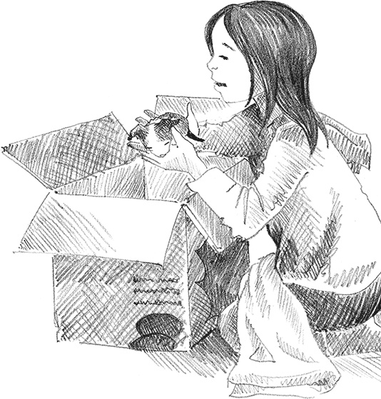 Иллюстрация к книге — Щенок Крошка, или Друзья навек [i_011.jpg]