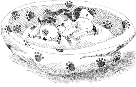 Иллюстрация к книге — Щенок Крошка, или Друзья навек [i_027.jpg]