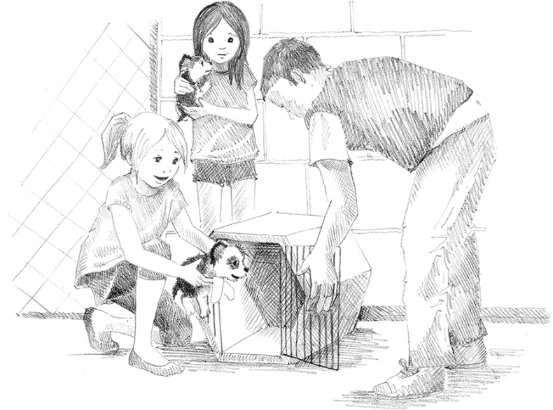 Иллюстрация к книге — Щенок Крошка, или Друзья навек [i_033.jpg]