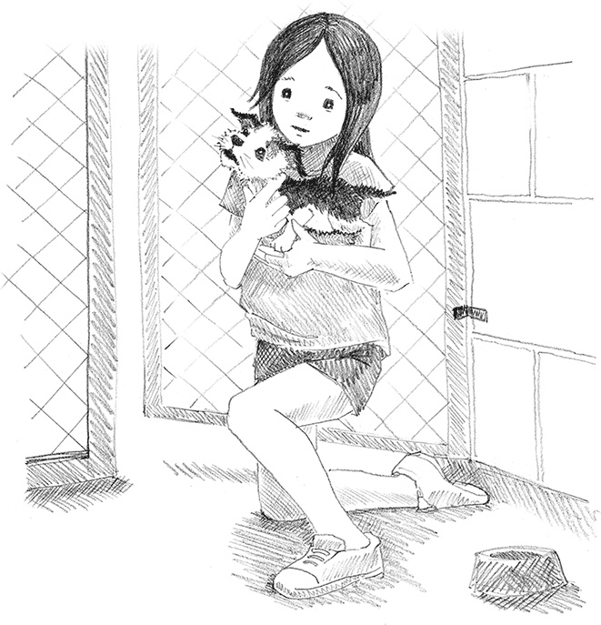 Иллюстрация к книге — Щенок Крошка, или Друзья навек [i_034.jpg]