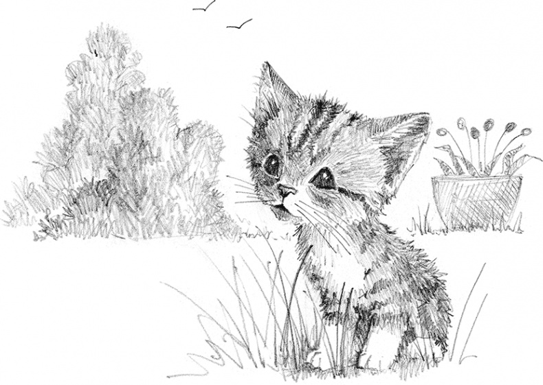 Иллюстрация к книге — Котенок пират, или Ловкий коготь [i_011.jpg]