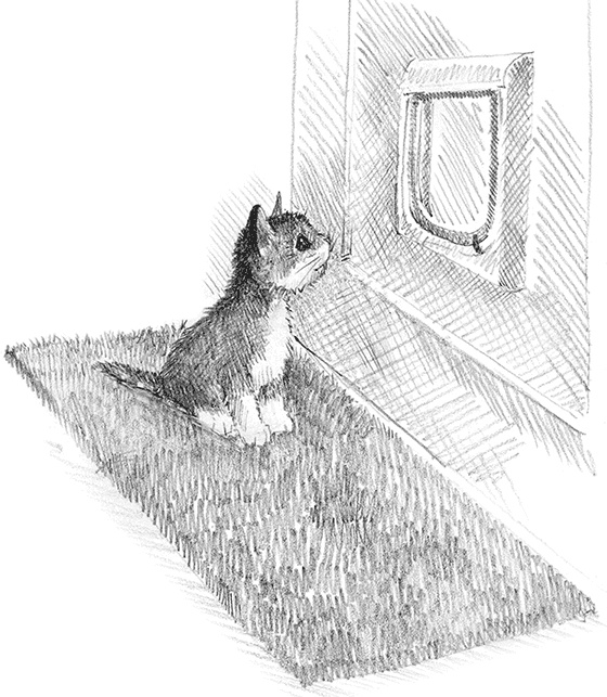 Иллюстрация к книге — Котенок пират, или Ловкий коготь [i_018.jpg]