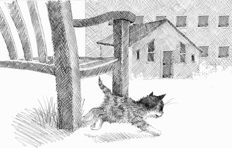 Иллюстрация к книге — Котенок пират, или Ловкий коготь [i_020.jpg]