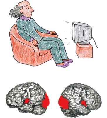 Иллюстрация к книге — Суперключ для развития мозга! [_08.jpg]