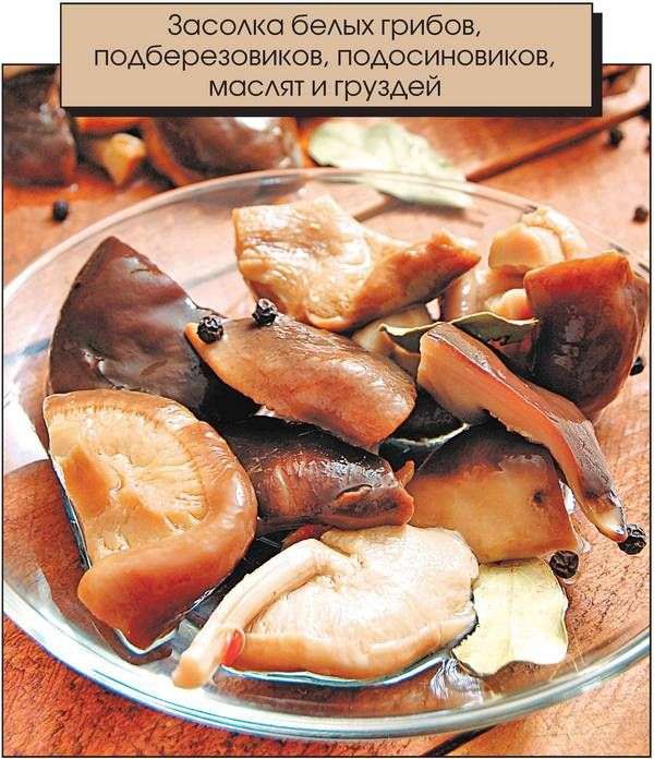 Иллюстрация к книге — Консервирование. Большая книга рецептов [i_011.jpg]