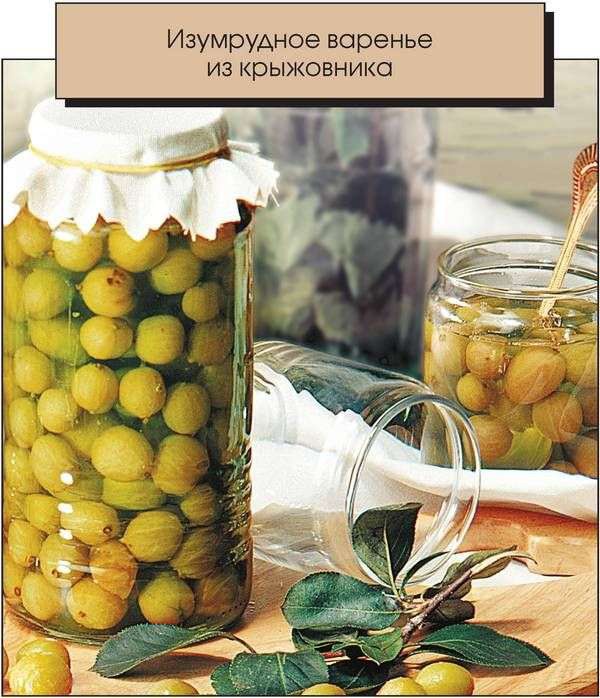 Иллюстрация к книге — Консервирование. Большая книга рецептов [i_019.jpg]