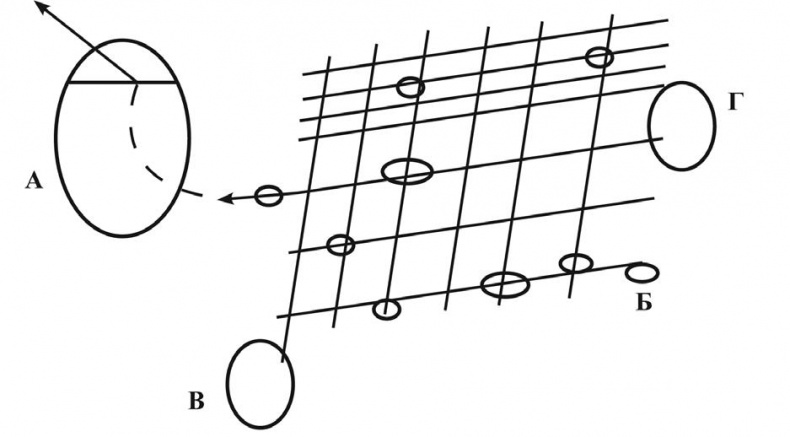 Иллюстрация к книге — Проект "Человек" [i_009.jpg]
