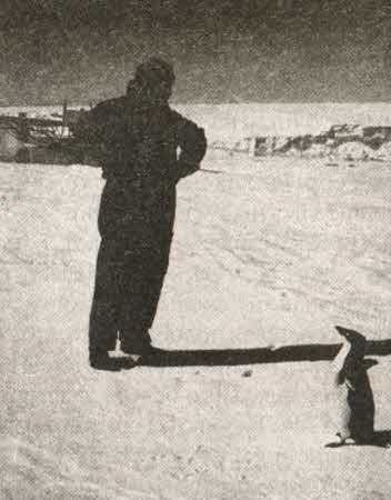 Иллюстрация к книге — Загадочная экспедиция. Что искали немцы в Антарктиде? [i_070.jpg]