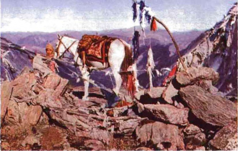 Иллюстрация к книге — Тибетская экспедиция СС. Правда о тайном немецком проекте [i_007.jpg]