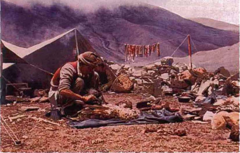 Иллюстрация к книге — Тибетская экспедиция СС. Правда о тайном немецком проекте [i_009.jpg]