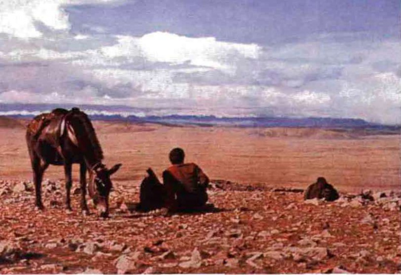 Иллюстрация к книге — Тибетская экспедиция СС. Правда о тайном немецком проекте [i_010.jpg]