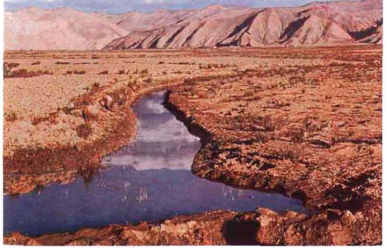 Иллюстрация к книге — Тибетская экспедиция СС. Правда о тайном немецком проекте [i_018.jpg]