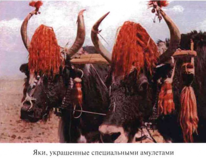 Иллюстрация к книге — Тибетская экспедиция СС. Правда о тайном немецком проекте [i_022.jpg]