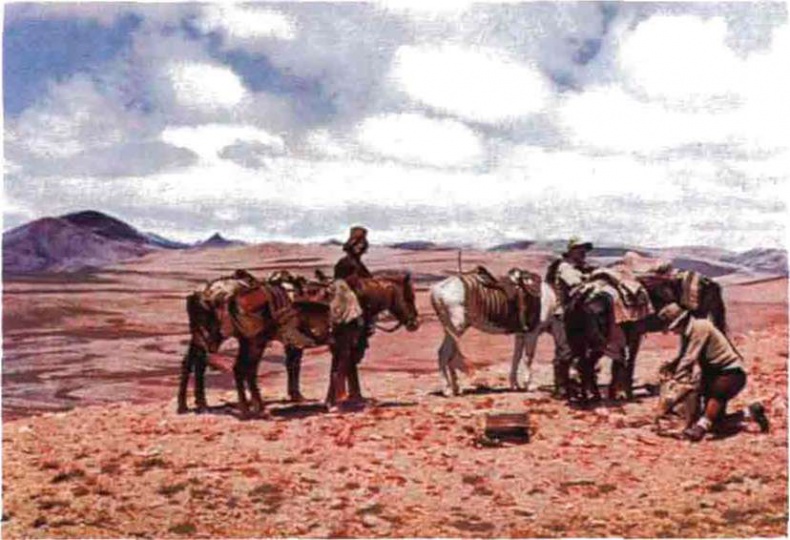 Иллюстрация к книге — Тибетская экспедиция СС. Правда о тайном немецком проекте [i_025.jpg]