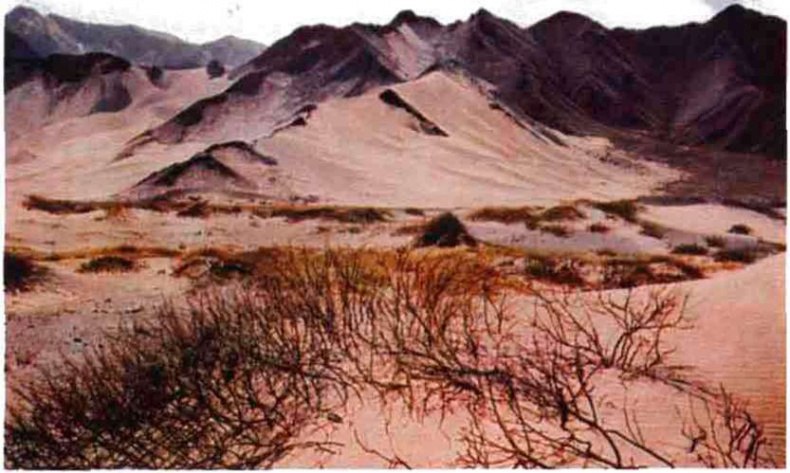 Иллюстрация к книге — Тибетская экспедиция СС. Правда о тайном немецком проекте [i_031.jpg]