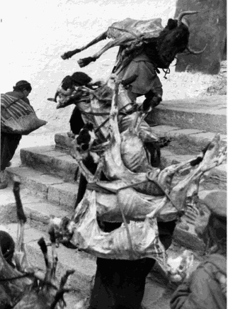 Иллюстрация к книге — Тибетская экспедиция СС. Правда о тайном немецком проекте [i_053.jpg]