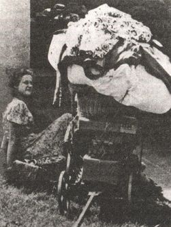 Иллюстрация к книге — Последняя надежда Гитлера [i_068.jpg]