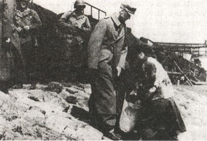 Иллюстрация к книге — Последняя надежда Гитлера [i_079.jpg]