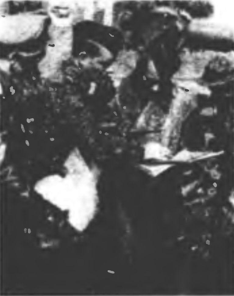 Иллюстрация к книге — Танковый ас №1 Михаэль Виттманн [img_115.jpg]