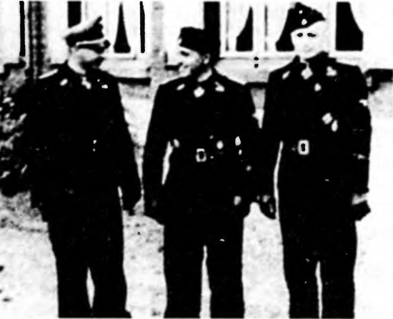 Иллюстрация к книге — Танковый ас №1 Михаэль Виттманн [img_22.jpg]