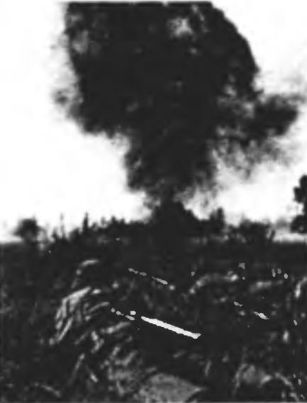 Иллюстрация к книге — Танковый ас №1 Михаэль Виттманн [img_41.jpg]