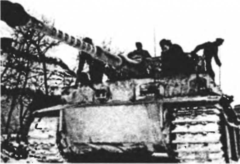 Иллюстрация к книге — Танковый ас №1 Михаэль Виттманн [img_65.jpg]