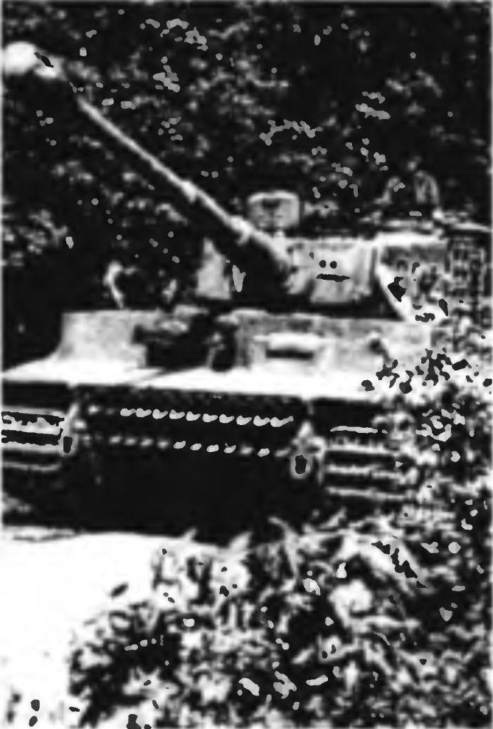 Иллюстрация к книге — Танковый ас №1 Михаэль Виттманн [img_93.jpg]