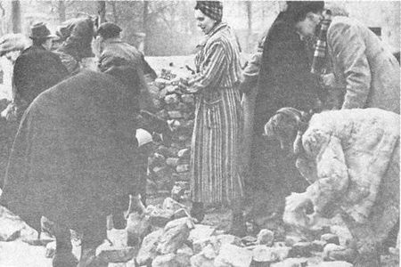 Иллюстрация к книге — 100 дней в кровавом аду. Будапешт - &quot;дунайский Сталинград&quot;? [i_014.jpg]