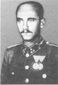 Иллюстрация к книге — 100 дней в кровавом аду. Будапешт - &quot;дунайский Сталинград&quot;? [i_039.jpg]